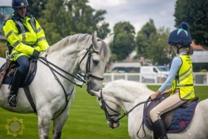 Horse Road awareness 1