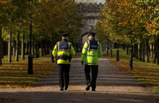 gardai walking among trees sm