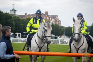 Horse Road awareness 4