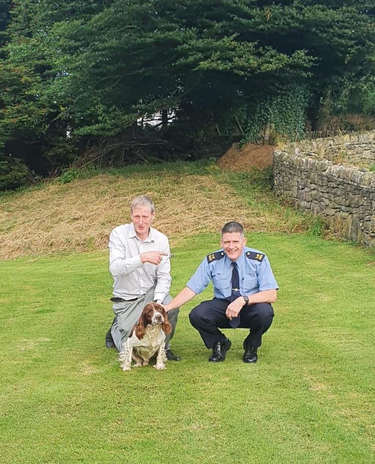 Reunited dog Reunited dog