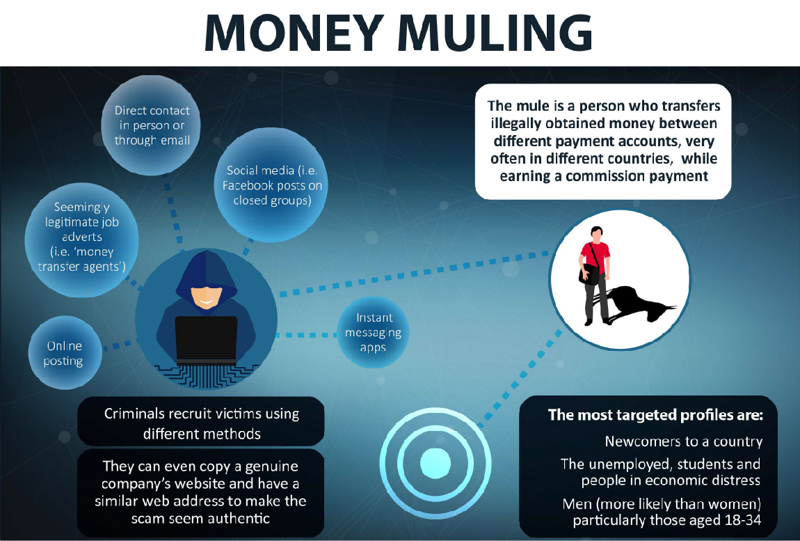 money_muling_1150_px-01
